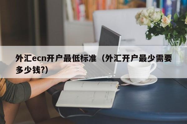 外汇ecn开户最低标准（外汇开户最少需要多少钱?）