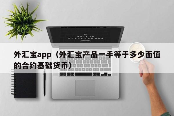 外汇宝app（外汇宝产品一手等于多少面值的合约基础货币）