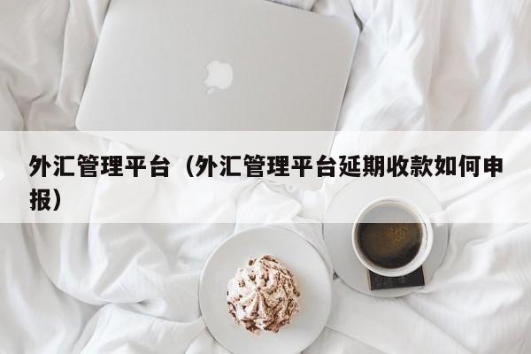 外汇管理平台（外汇管理平台延期收款如何申报）
