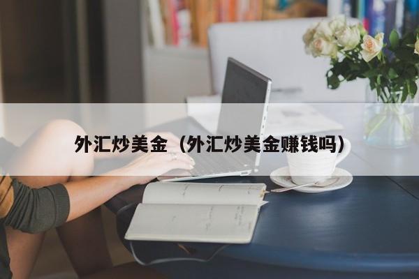 外汇炒美金（外汇炒美金赚钱吗）