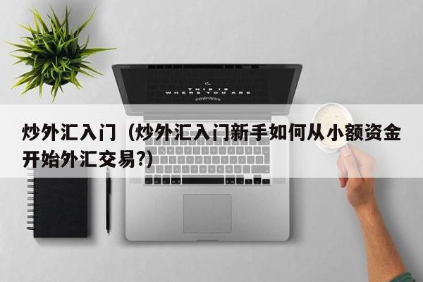 炒外汇入门（炒外汇入门新手如何从小额资金开始外汇交易?）