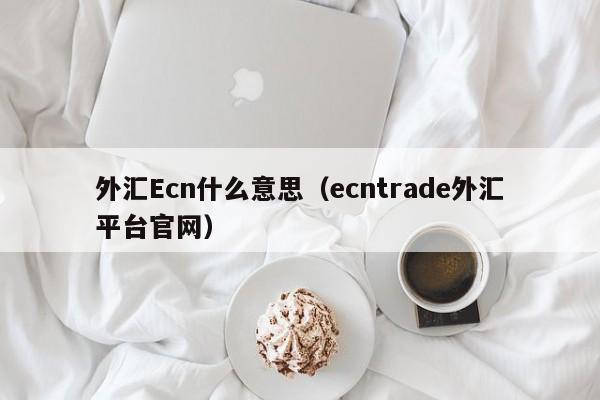 外汇Ecn什么意思（ecntrade外汇平台官网）