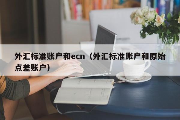 外汇标准账户和ecn（外汇标准账户和原始点差账户）