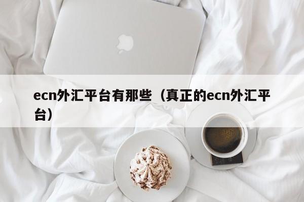 ecn外汇平台有那些（真正的ecn外汇平台）