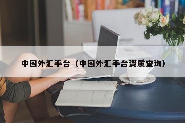 中国外汇平台（中国外汇平台资质查询）