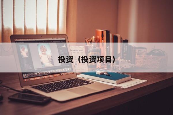投资（投资项目）