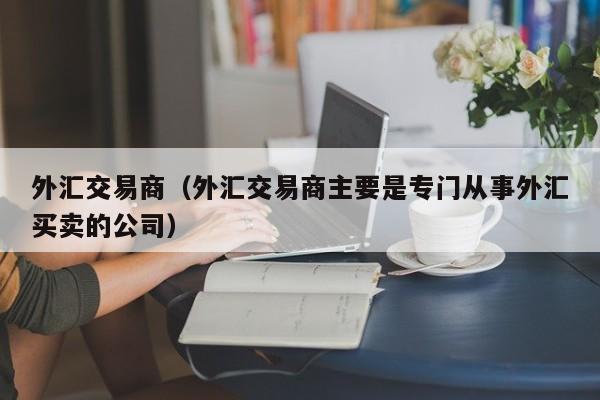 外汇交易商（外汇交易商主要是专门从事外汇买卖的公司）