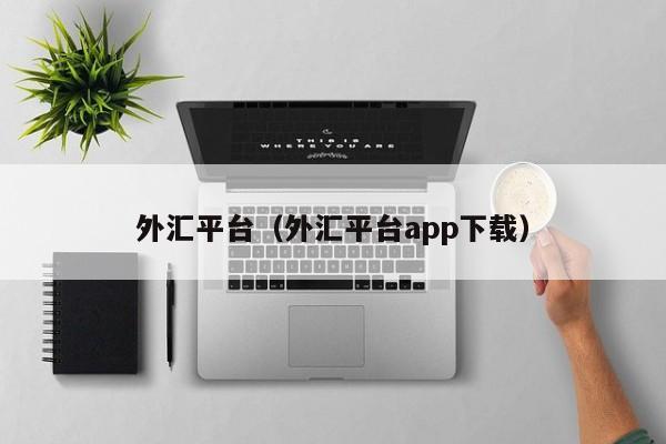 外汇平台（外汇平台app下载）