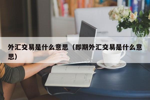 外汇交易是什么意思（即期外汇交易是什么意思）