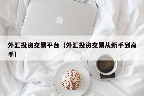 外汇投资交易平台（外汇投资交易从新手到高手）