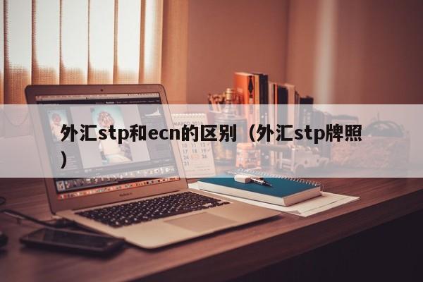 外汇stp和ecn的区别（外汇stp牌照）