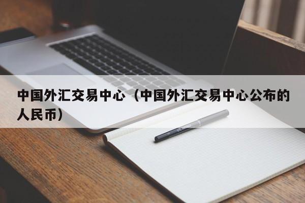 中国外汇交易中心（中国外汇交易中心公布的人民币）