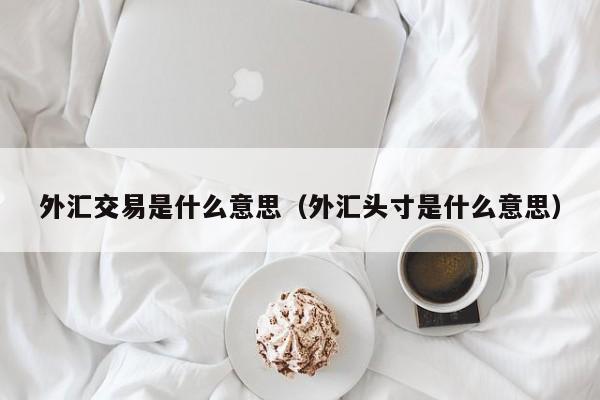 外汇交易是什么意思（外汇头寸是什么意思）