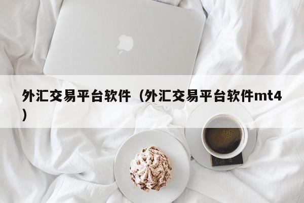 外汇交易平台软件（外汇交易平台软件mt4）