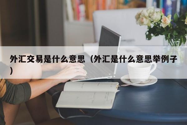 外汇交易是什么意思（外汇是什么意思举例子）