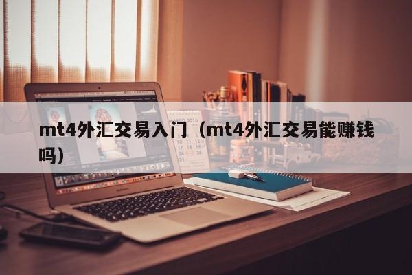 mt4外汇交易入门（mt4外汇交易能赚钱吗）