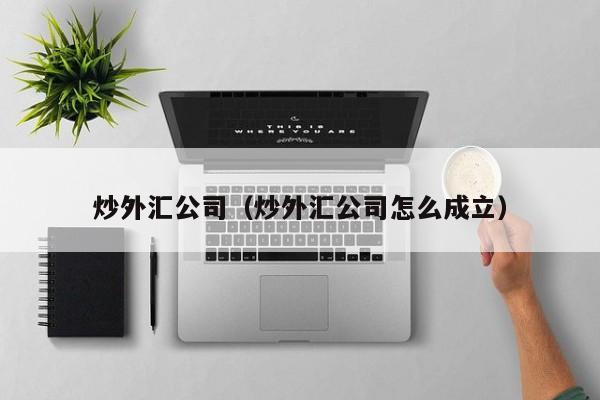 炒外汇公司（炒外汇公司怎么成立）