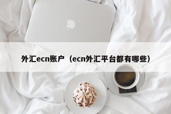 外汇ecn账户（ecn外汇平台都有哪些）