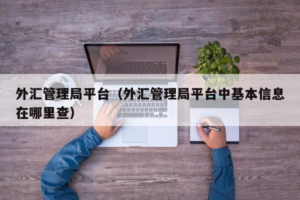 外汇管理局平台（外汇管理局平台中基本信息在哪里查）