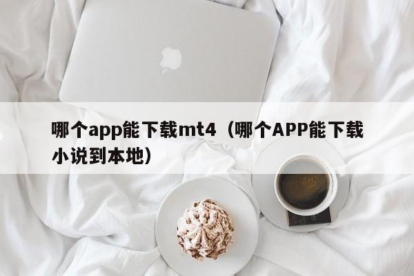 哪个app能下载mt4（哪个APP能下载小说到本地）