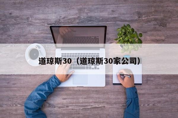 道琼斯30（道琼斯30家公司）