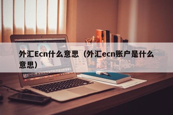 外汇Ecn什么意思（外汇ecn账户是什么意思）