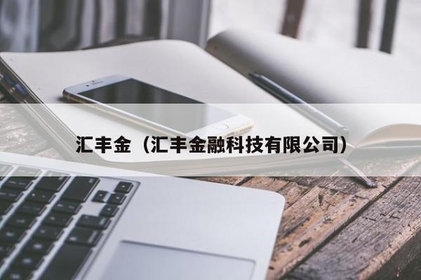 汇丰金（汇丰金融科技有限公司）