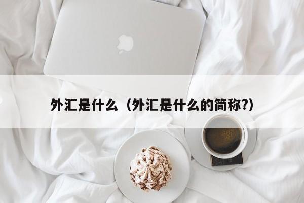 外汇是什么（外汇是什么的简称?）