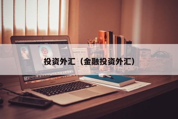 投资外汇（金融投资外汇）