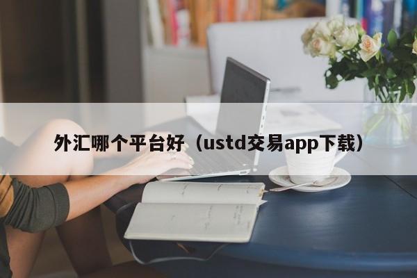外汇哪个平台好（ustd交易app下载）