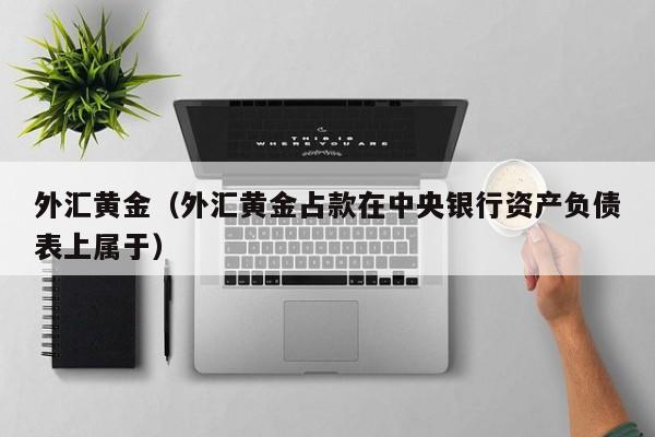 外汇黄金（外汇黄金占款在中央银行资产负债表上属于）