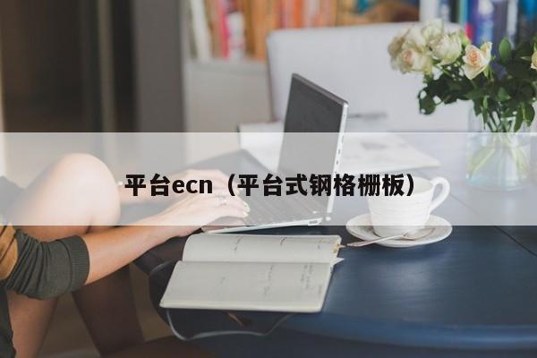 平台ecn（平台式钢格栅板）