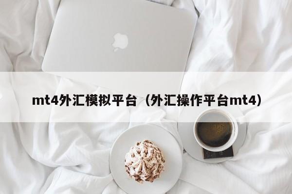 mt4外汇模拟平台（外汇操作平台mt4）