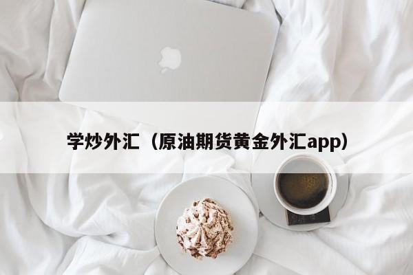 学炒外汇（原油期货黄金外汇app）