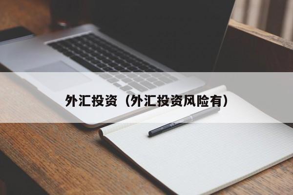 外汇投资（外汇投资风险有）