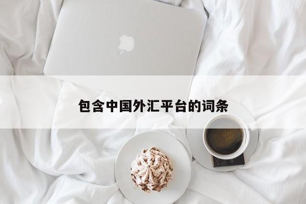 包含中国外汇平台的词条