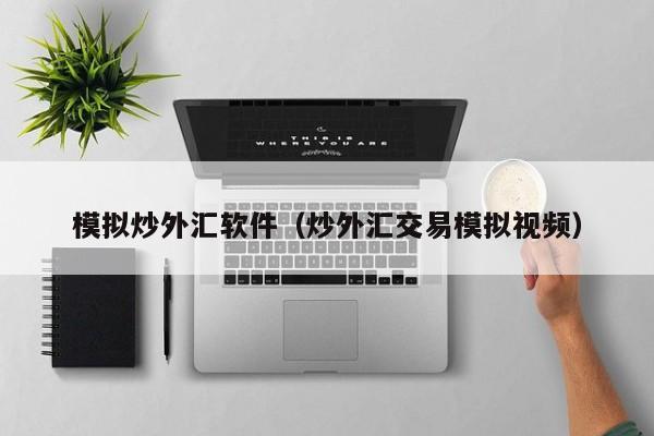 模拟炒外汇软件（炒外汇交易模拟视频）