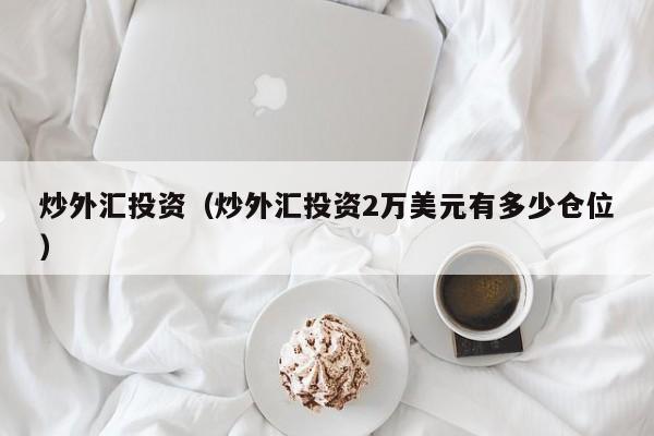 炒外汇投资（炒外汇投资2万美元有多少仓位）