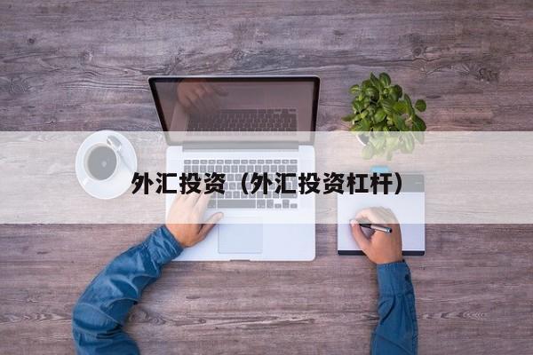 外汇投资（外汇投资杠杆）