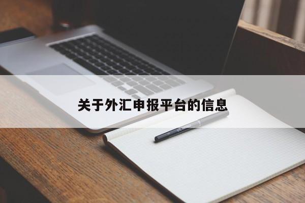 关于外汇申报平台的信息
