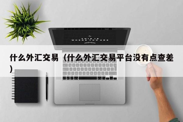 什么外汇交易（什么外汇交易平台没有点查差）