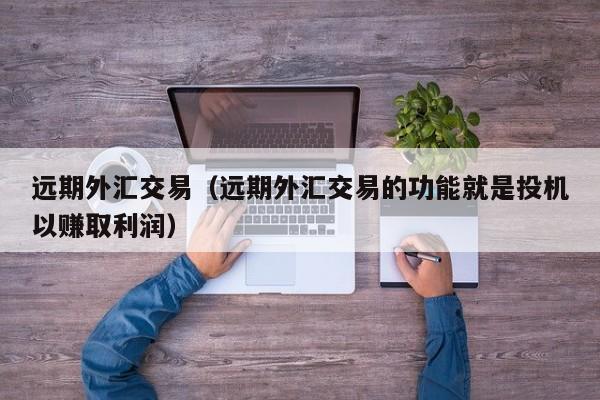 远期外汇交易（远期外汇交易的功能就是投机以赚取利润）