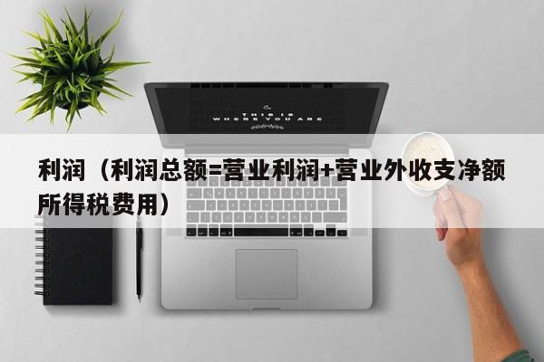 利润（利润总额=营业利润+营业外收支净额所得税费用）