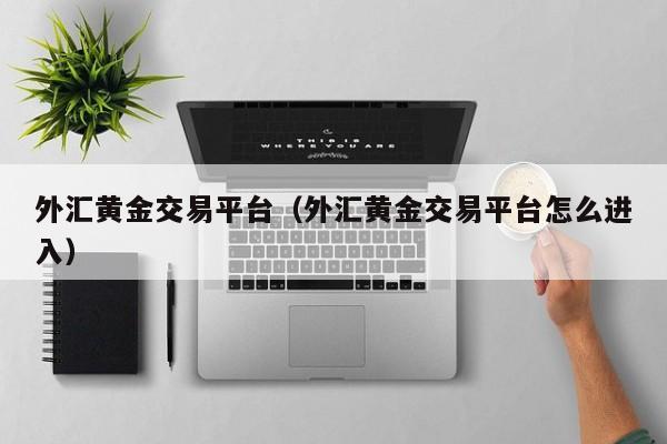 外汇黄金交易平台（外汇黄金交易平台怎么进入）