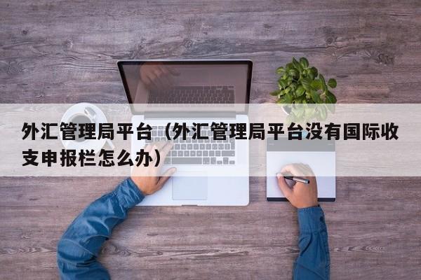 外汇管理局平台（外汇管理局平台没有国际收支申报栏怎么办）