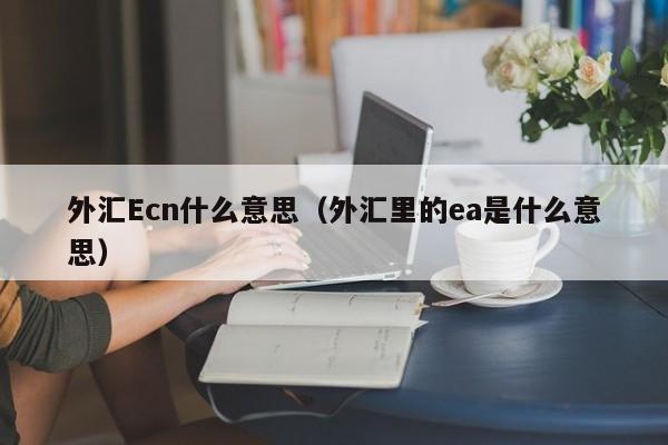 外汇Ecn什么意思（外汇里的ea是什么意思）