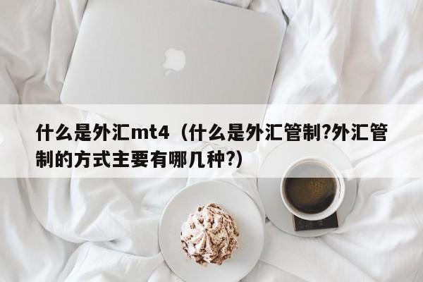 什么是外汇mt4（什么是外汇管制?外汇管制的方式主要有哪几种?）
