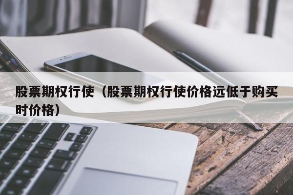 股票期权行使（股票期权行使价格远低于购买时价格）