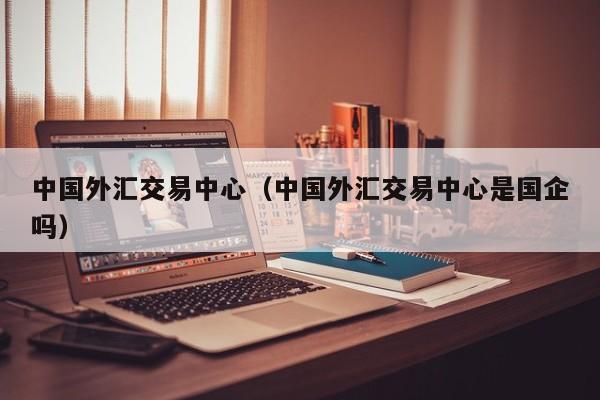 中国外汇交易中心（中国外汇交易中心是国企吗）
