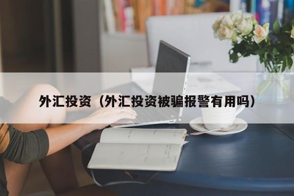 外汇投资（外汇投资被骗报警有用吗）